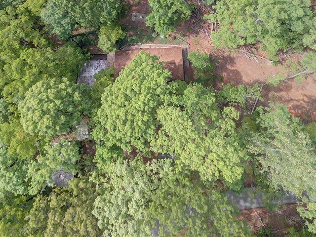 Photo of 274 Chinquapin Road