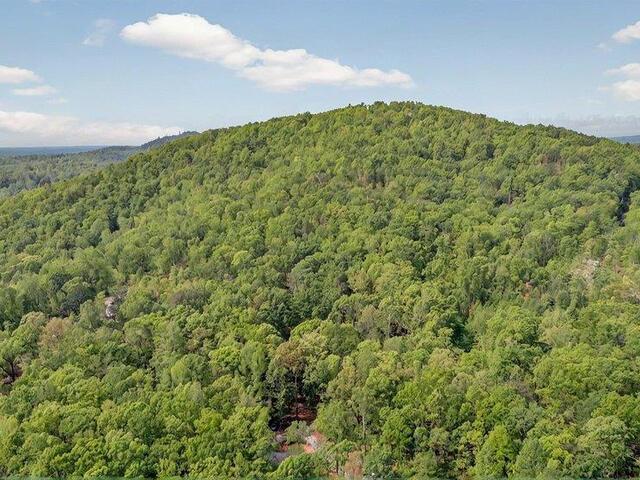 Photo of 274 Chinquapin Road