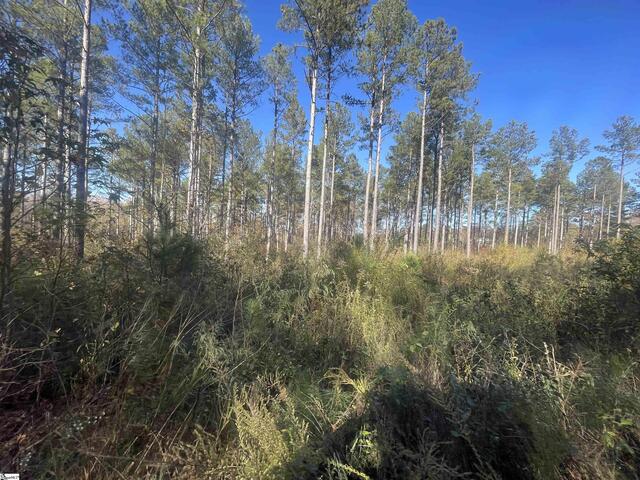 Photo of 1944 Dr. Johns Road