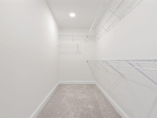 Photo of 154 River Fork Trail