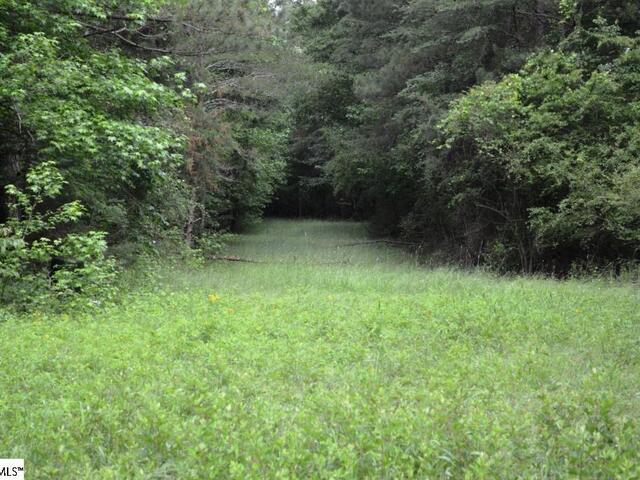 Photo of 00 Ponderosa Point Road