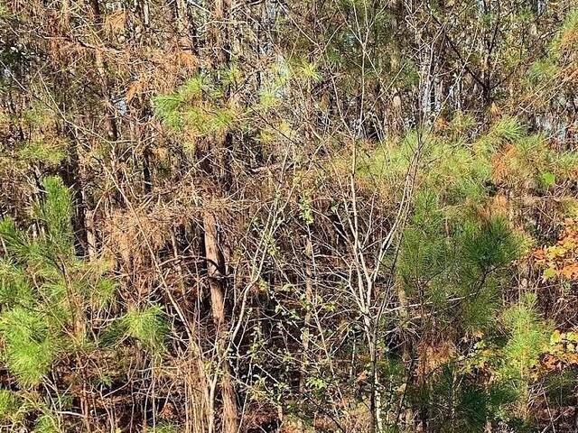 Photo of 306 & 308 Watersedge Drive