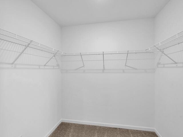 Photo of 404 Belgrove Way