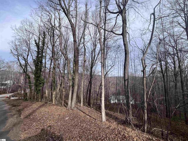 Photo of 00 Wildflower Lane