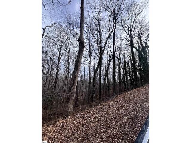 Photo of 00 Wildflower Lane