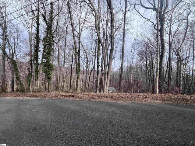 Photo of 00 Wildflower Lane