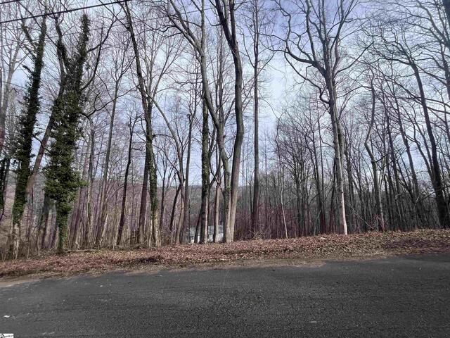 Photo of 00 Wildflower Lane