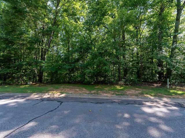 Photo of 317 Laurel Valley Way