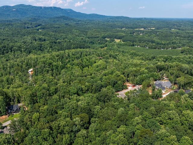 Photo of 317 Laurel Valley Way