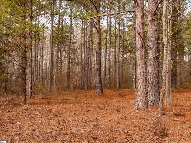 Photo of 012 Mill Pine Road