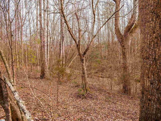 Photo of 012 Mill Pine Road