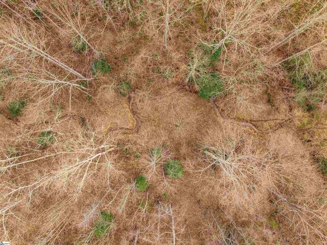 Photo of 012 Mill Pine Road