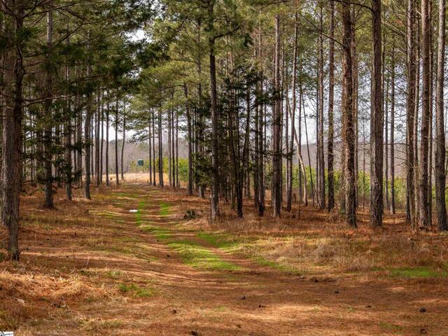 Photo of 011 Mill Pine Road