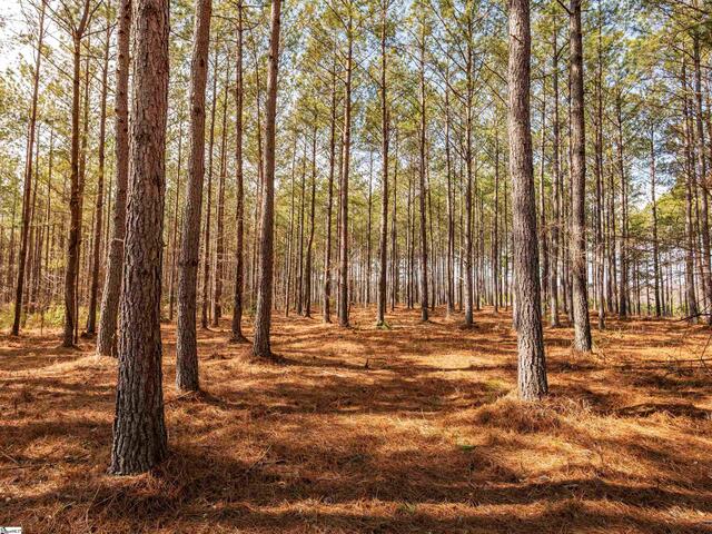 Photo of 011 Mill Pine Road