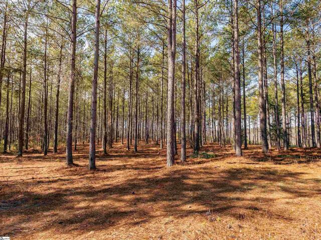Photo of 011 Mill Pine Road