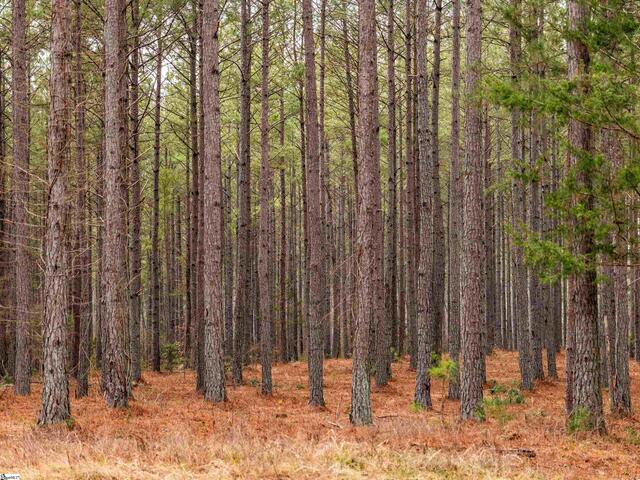 Photo of 011 Mill Pine Road