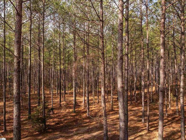 Photo of 011 Mill Pine Road
