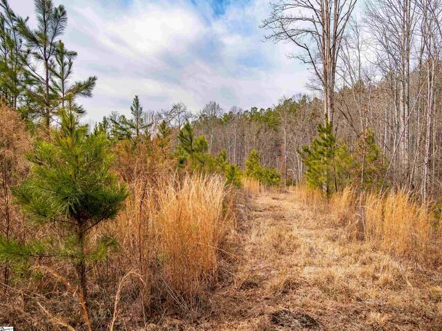 Photo of 011 Mill Pine Road