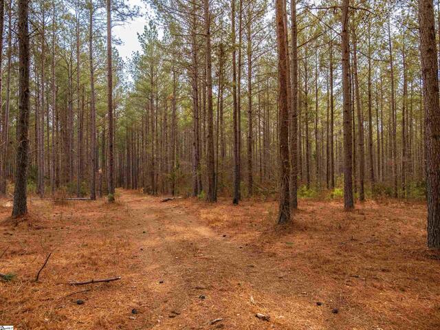Photo of 011 Mill Pine Road