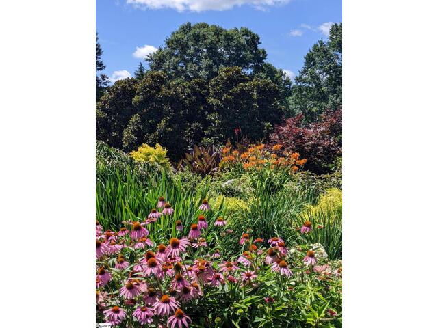 Photo of 624 Driftwood Drive