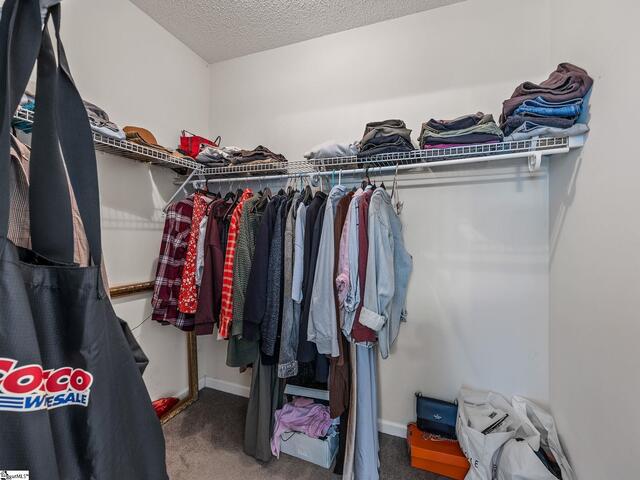 Photo of 532 Tut Court