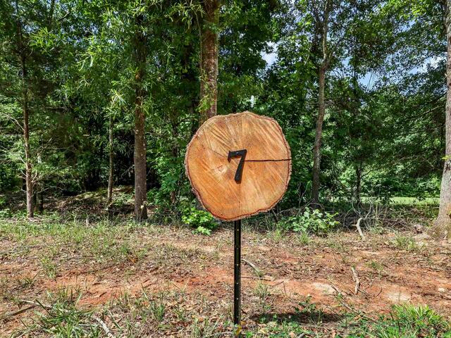 Photo of 141 Flowing Rock Road