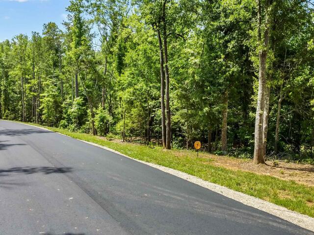 Photo of 141 Flowing Rock Road