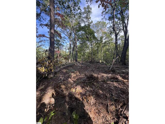 Photo of 4502 Hawkins Road