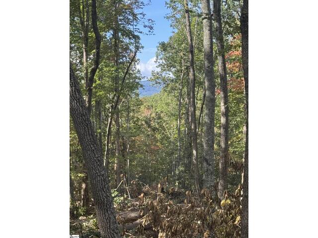 Photo of 4502 Hawkins Road