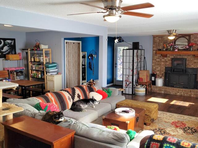 Photo of 209 Tucson Drive