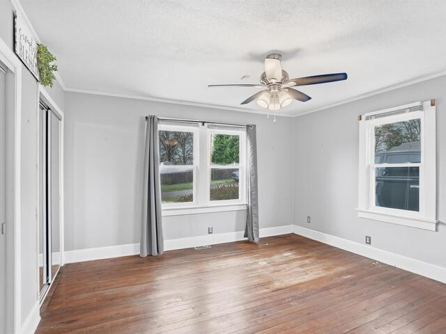 Photo of 3 Littlejohn Street