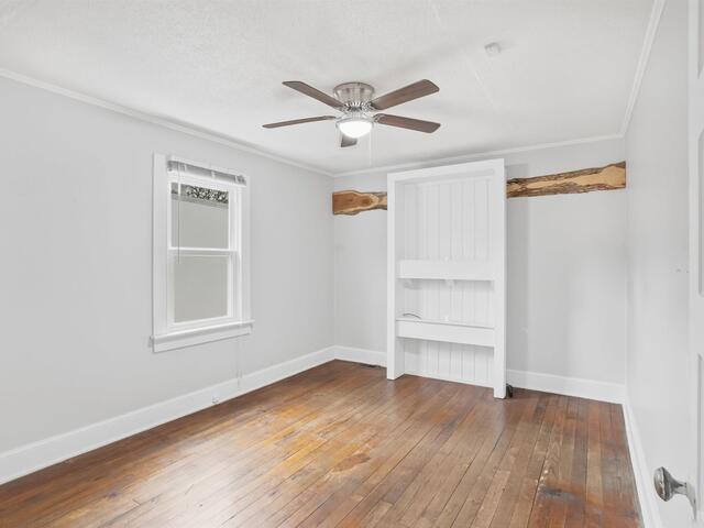 Photo of 3 Littlejohn Street