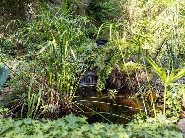 Photo of 14 Dixie Avenue