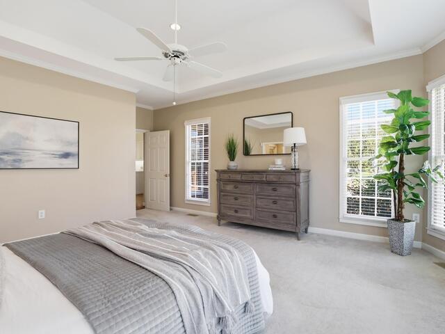 Photo of 103 Silver Fox Trail