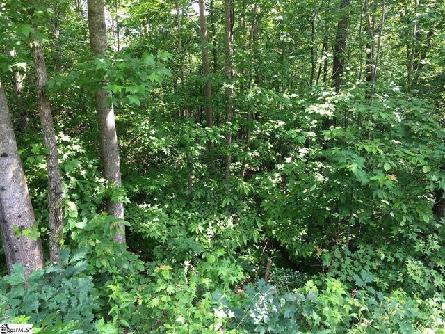 Photo of 120 Ridgerunner Way