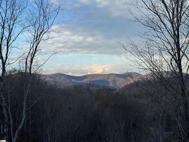 Photo of 2 Cherokee Rose Trail