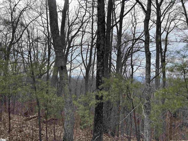 Photo of 633 Plumley Summit Road