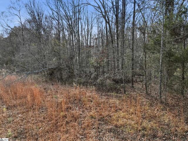 Photo of 1111 Fork Shoals Road