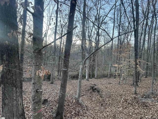 Photo of Hwy 221 N Greenwood Road