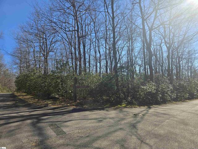 Photo of 00 Birchbend