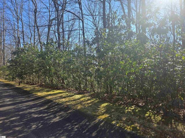 Photo of 00 Birchbend