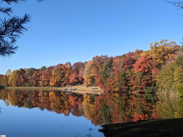 Photo of 00 Birchbend