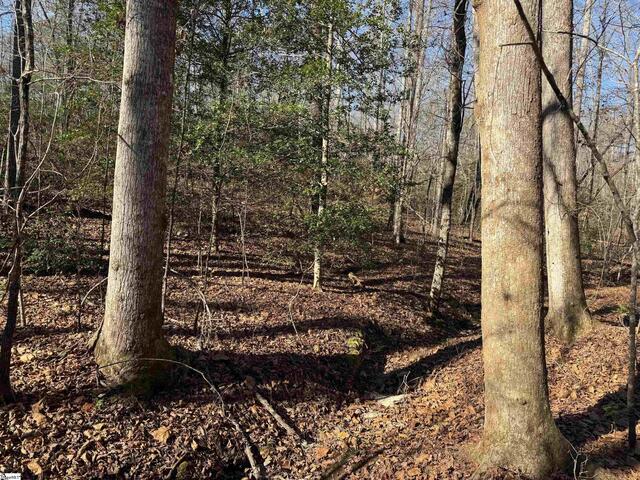 Photo of 550 Pine Mountain Road