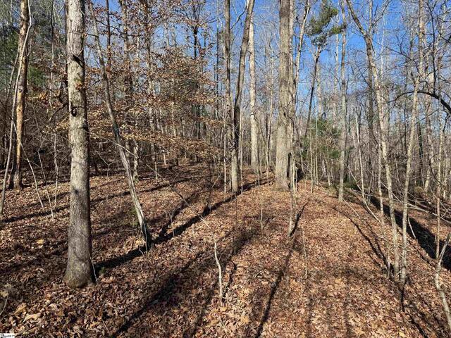 Photo of 550 Pine Mountain Road