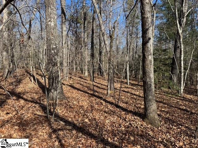 Photo of 550 Pine Mountain Road