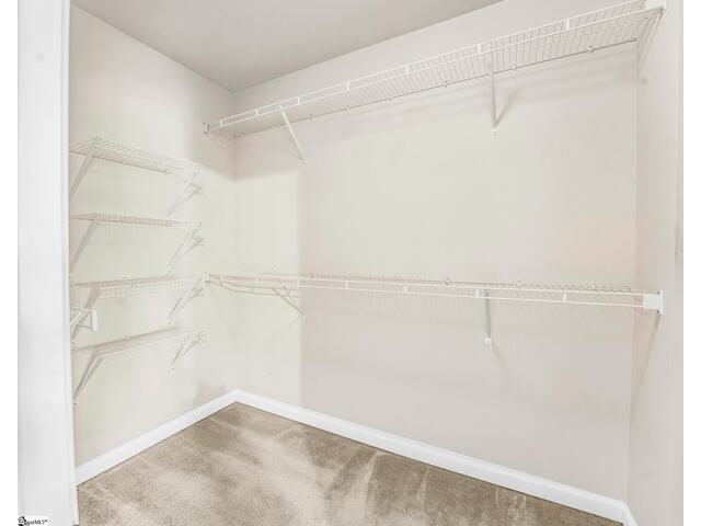 Photo of 446 Christiane