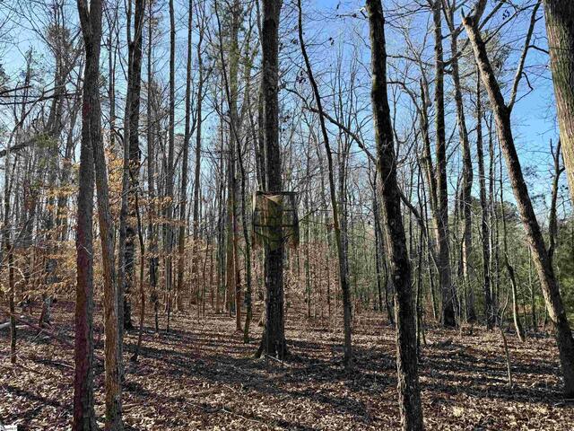Photo of 00 Neely Ferry Road