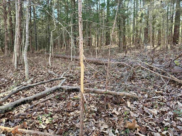 Photo of 00 Neely Ferry Road