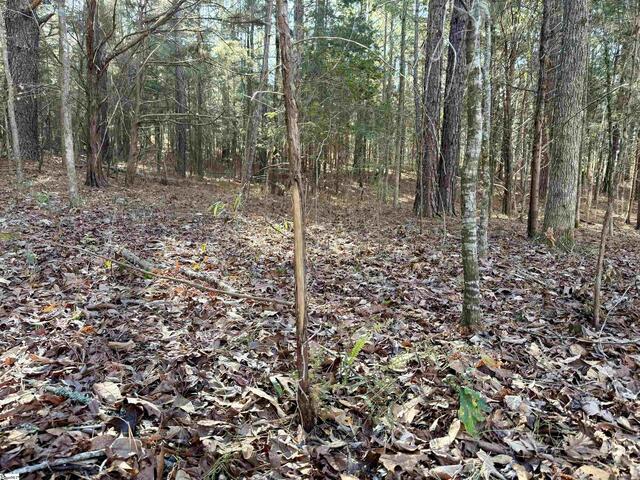 Photo of 00 Neely Ferry Road