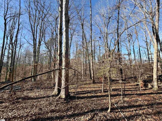 Photo of 00 Neely Ferry Road